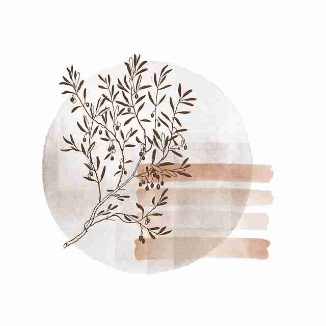 创作者计划-麻豆app-体验报告-看点大合集